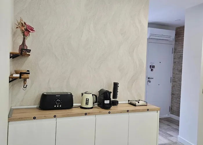 Séjour chez l'habitant Habitación Céntrica De Lujo Gv 1